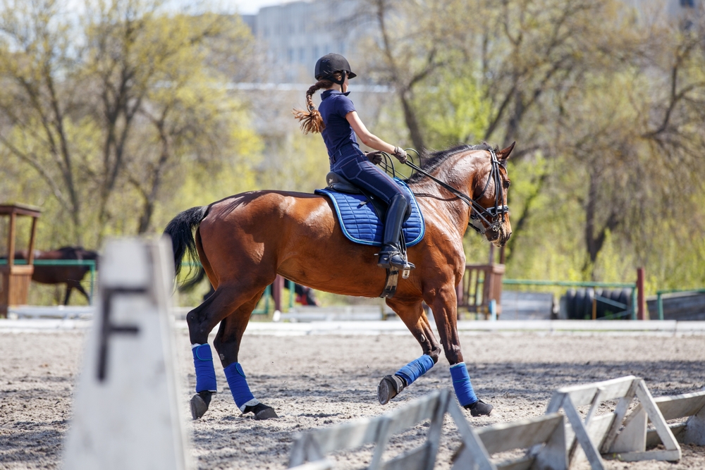 Spordiväljakute rajamine